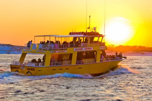 Dolphin cruise in the Destin Harbor at sunset