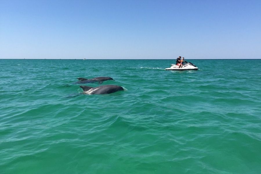 Destin harbor jet ski rental