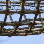 ropes course at Baytowne Adventure Zone